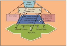 Power System Operations