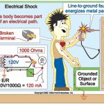 electricshock-electricalpath