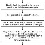 flowchart-synthesis-carbon-neemtree-leaves