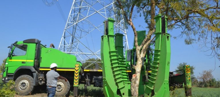 New Products Information, Latest Technology, free resources, white papers, Planning & Design| energy & power industry | Sterlite Power Initiates Tree Translocation in Power Transmission Sector - Electrical India Magazine on Power & Electrical products, Renewable Energy, Transformers, Switchgear & Cables