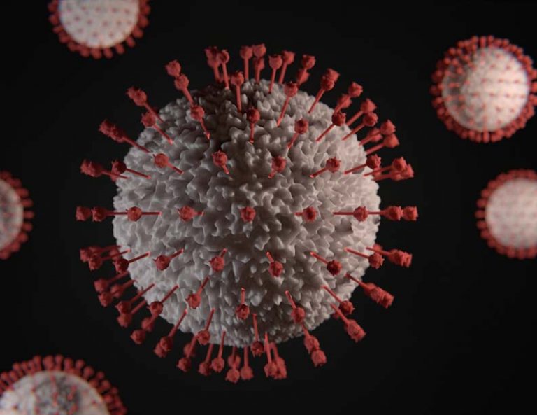 Viktor Forgacs Fcdqdjum6b4 Unsplash