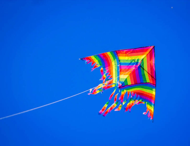 Tata Power Delhi Distribution Limited Safety Fly Kites