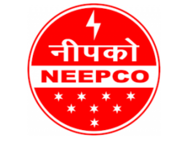 POWER MINISTER REVIEWS PERFORMANCE, GIVES INSTRUCTIONS TO THDCIL AND NEEPCO
