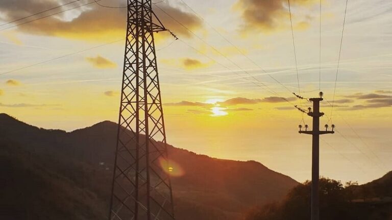 Gridspertise presents its cutting-edge sustainable solutions for the Indian power distribution grids