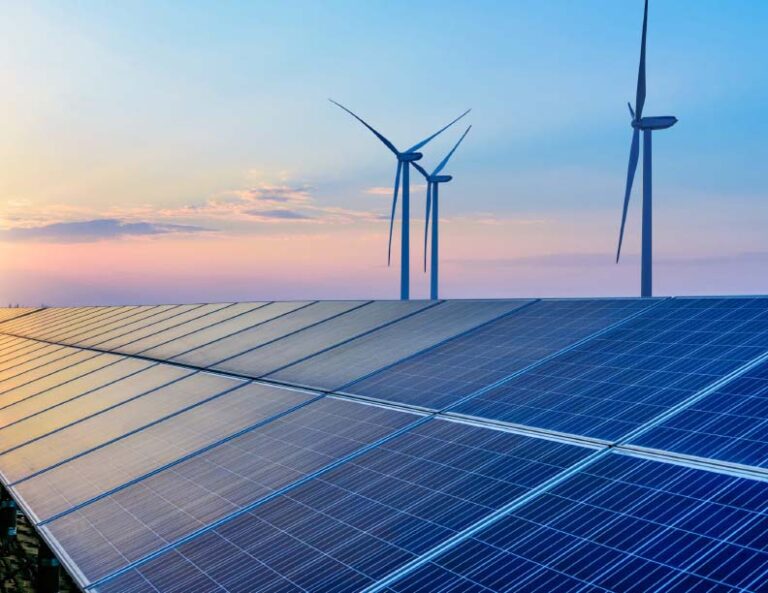 Renewable CAPACITY EXPANSION IN 2021