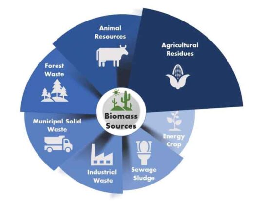 USING BIOMASS PELLETS FOR Electricity Generation | Electrical India ...