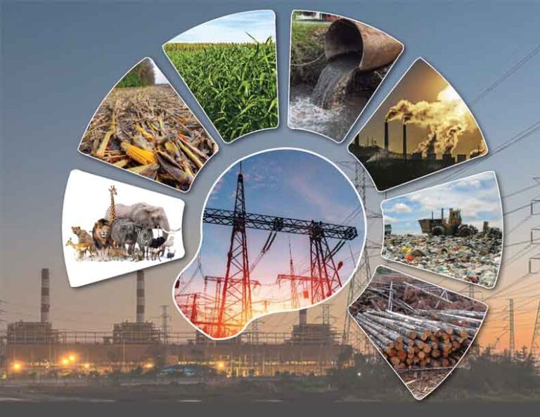 USING BIOMASS PELLETS FOR Electricity Generation