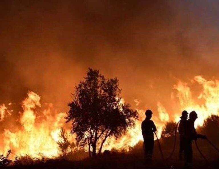 Mitigating Wildfire Risks in High Fire Zones