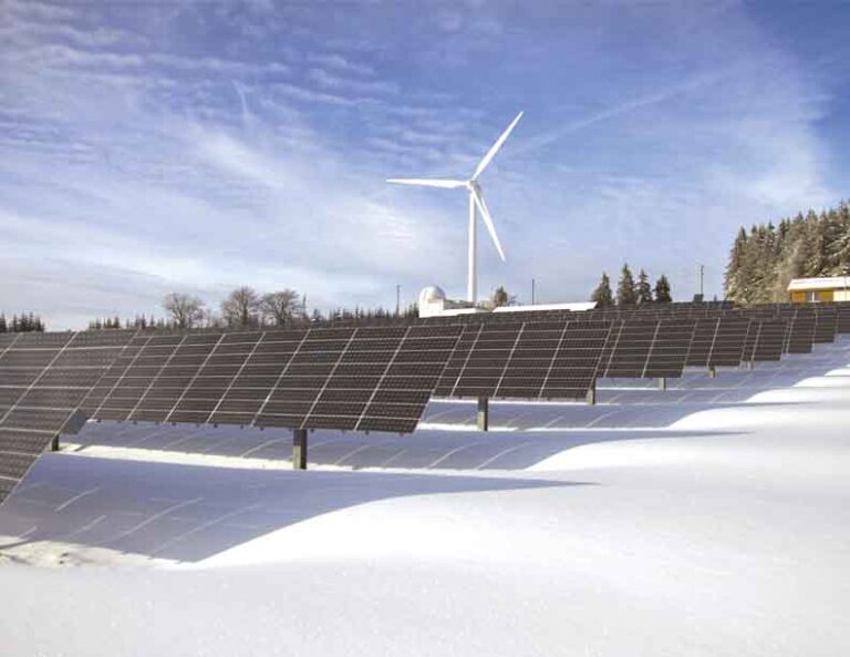 The Flourishing Indian Green Power Sector