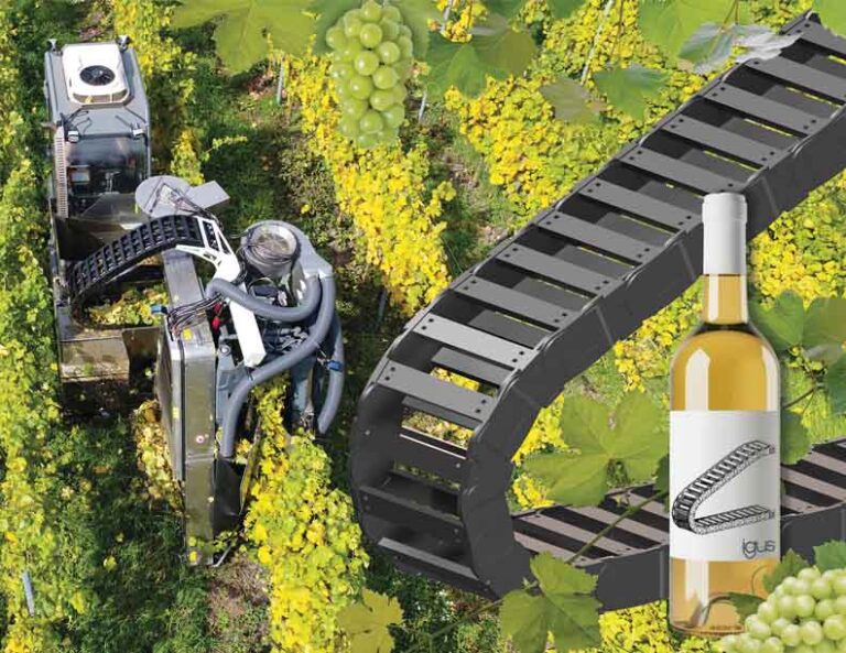 Robots Take Care of Harvesting Grapes