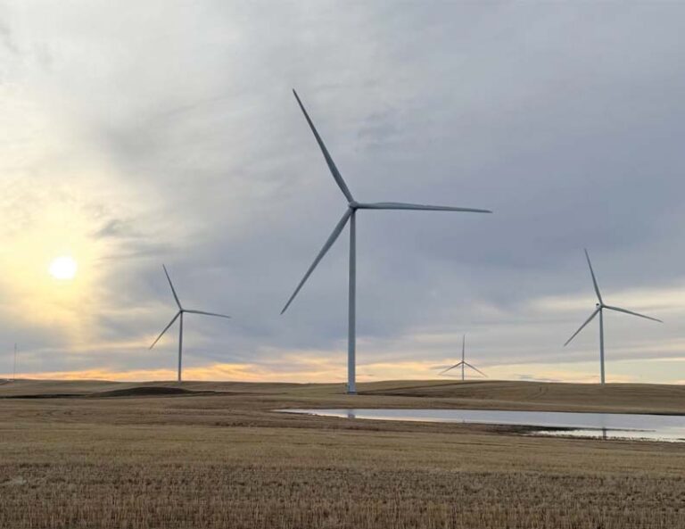 ACCIONA Energía’s Largest Wind Farm in North America Begins Operations