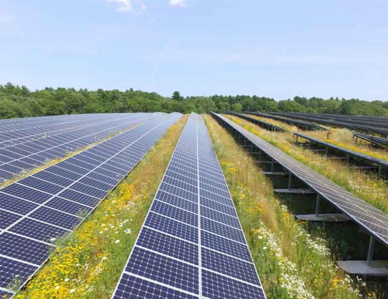 A Significant Shift toward Renewable-Based CPPs