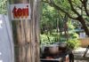 TERI Demonstrates Biomass Gasifier for Community Cooking