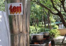 TERI Demonstrates Biomass Gasifier for Community Cooking