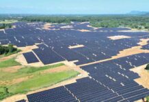 SJVN Achieves COD of 70 MW Dhubri Solar Power Project